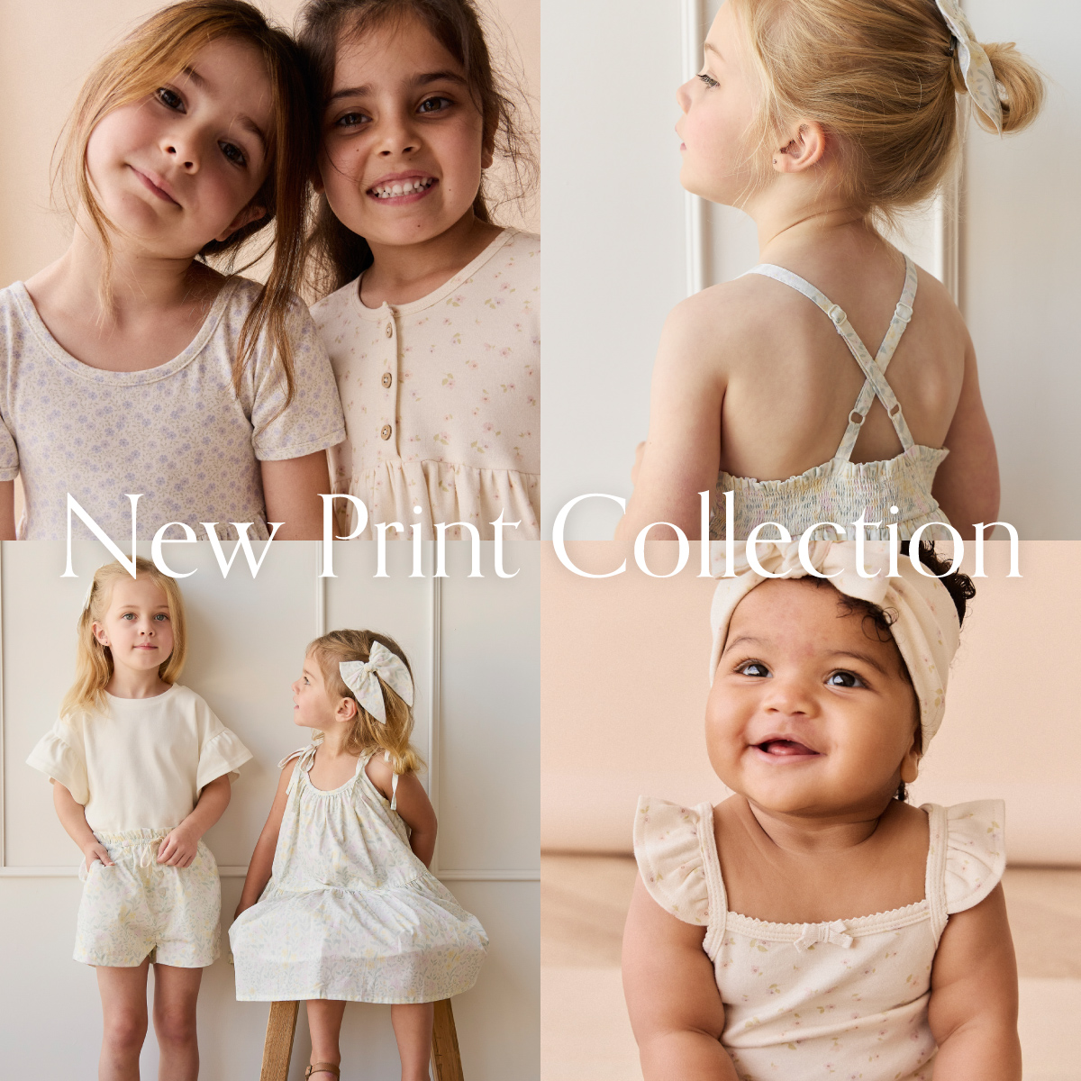 New Print Collection