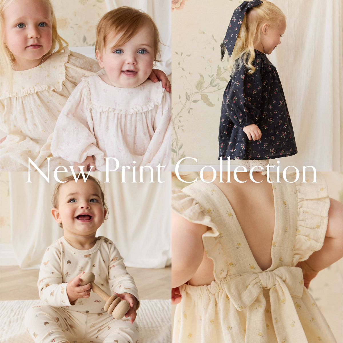 New Print Collection