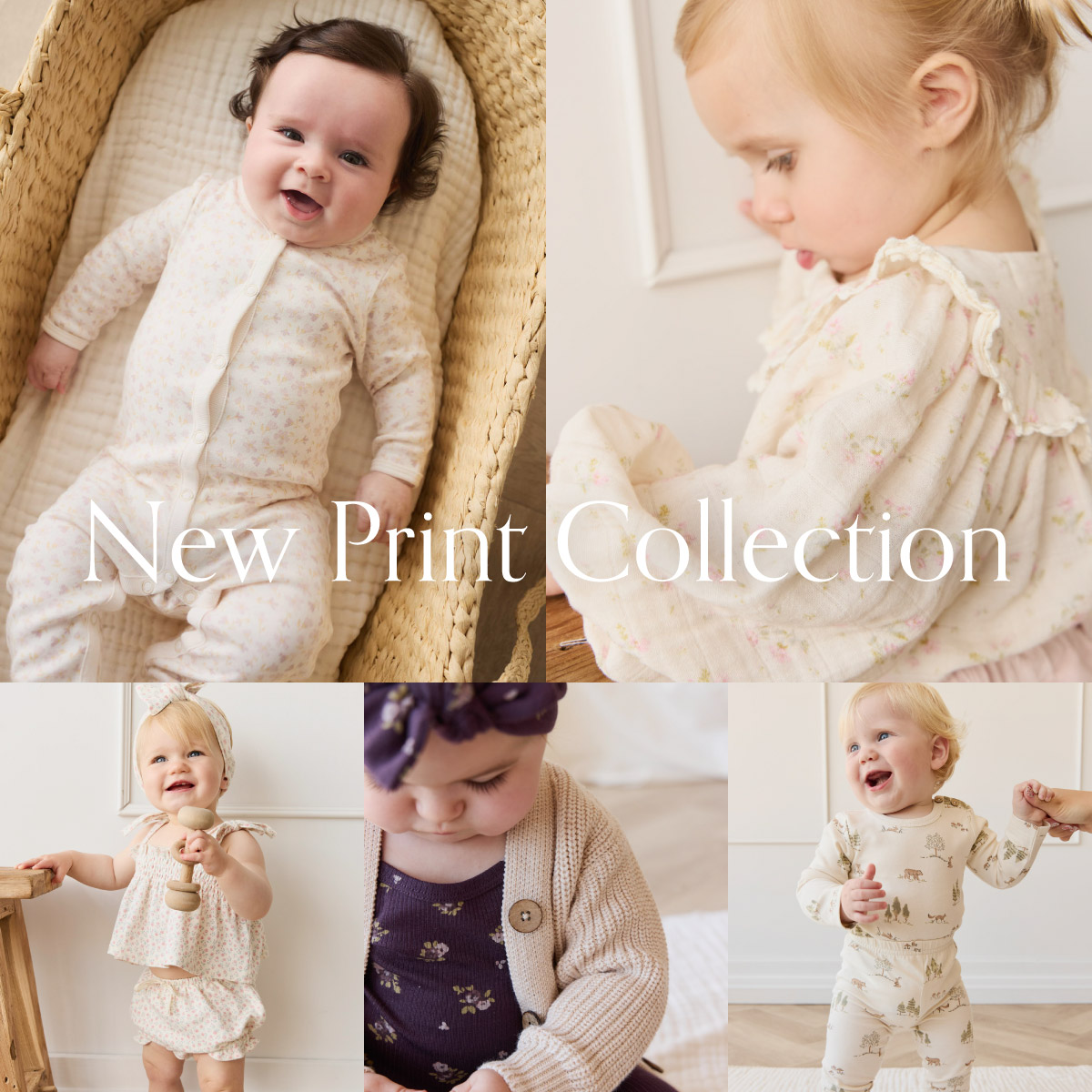 New Print Collection