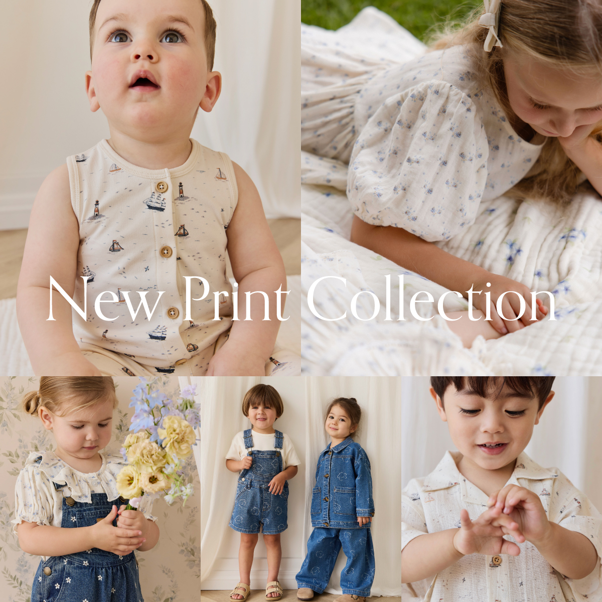 2月New Print Collection