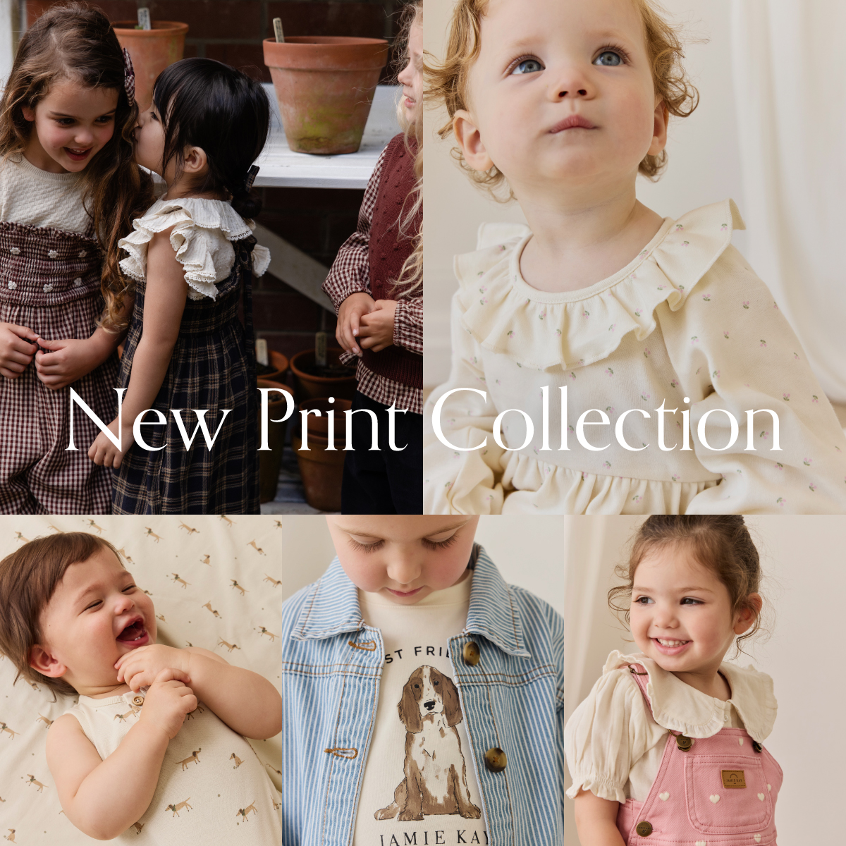 New Print Collection