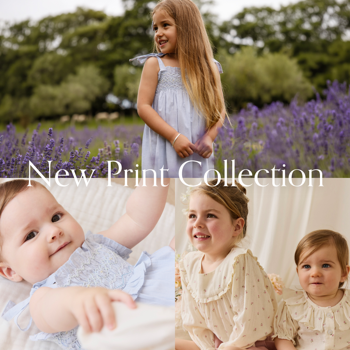 New Print Collection