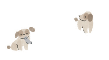 decoration