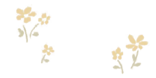 decoration