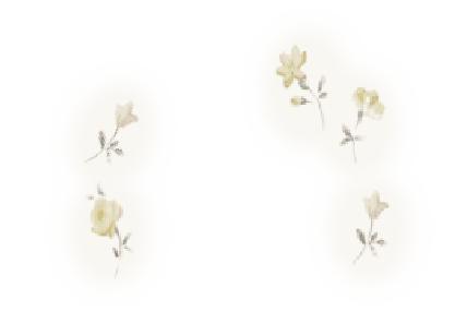 decoration