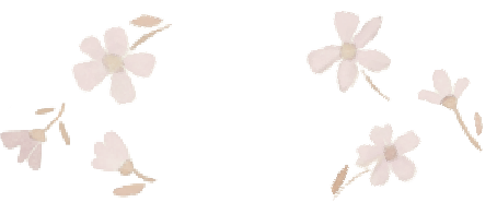 decoration