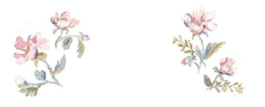decoration