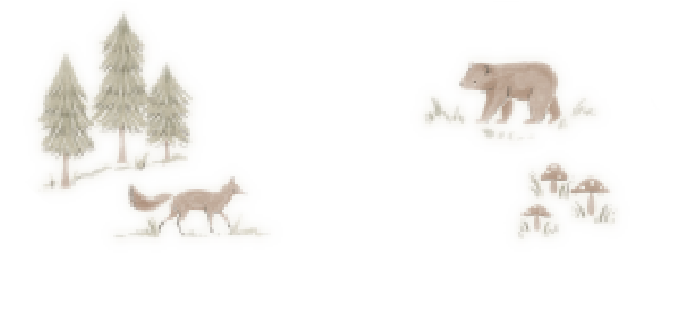 decoration